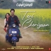 Teri Choriyaan