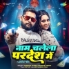 Name Chalela Pardesh Mein