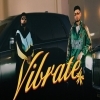 Vibrate