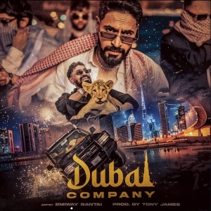 Dubai Company