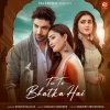 Tu To Bhatka Hai